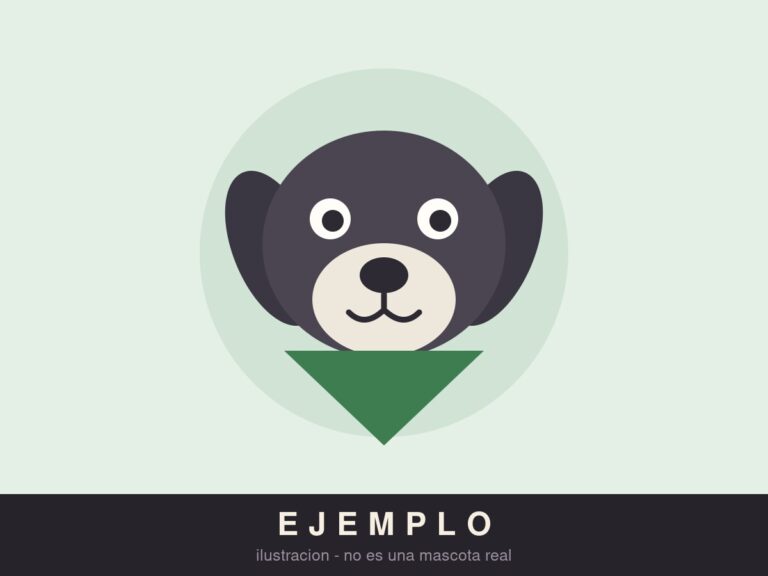 EJEMPLO · Cachorra en adopción, desparasitada y vacunada