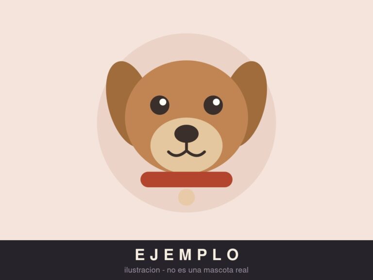 EJEMPLO · Perro café con collar rojo, responde a Canela